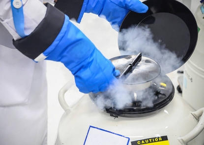 氣相液氮罐 氣相液氮罐