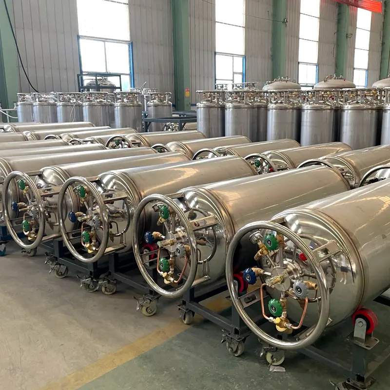 壓力液氮罐 壓力液氮罐