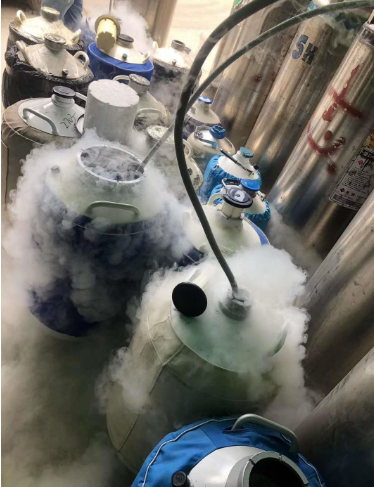 液氮罐 液氮罐