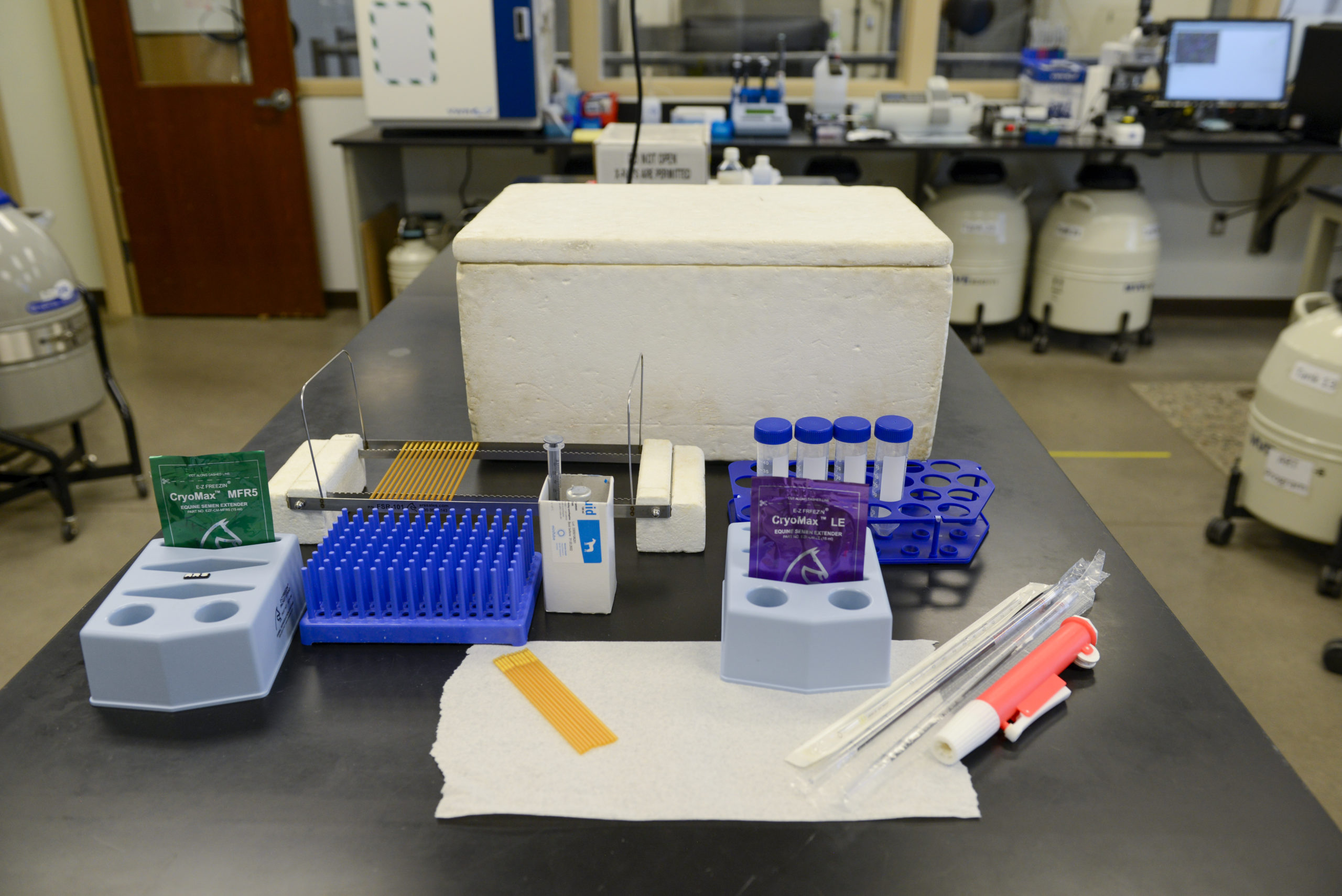 樣品式樣 樣品式樣