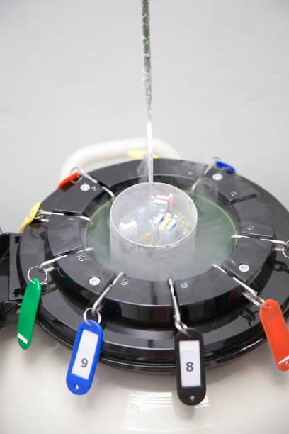 東亞液氮罐 東亞液氮罐