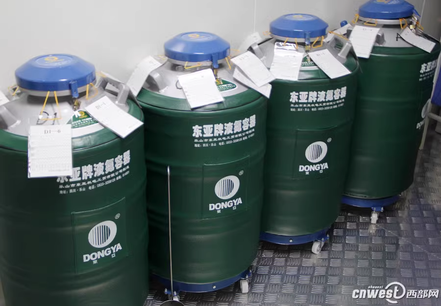 東亞液氮罐 東亞液氮罐