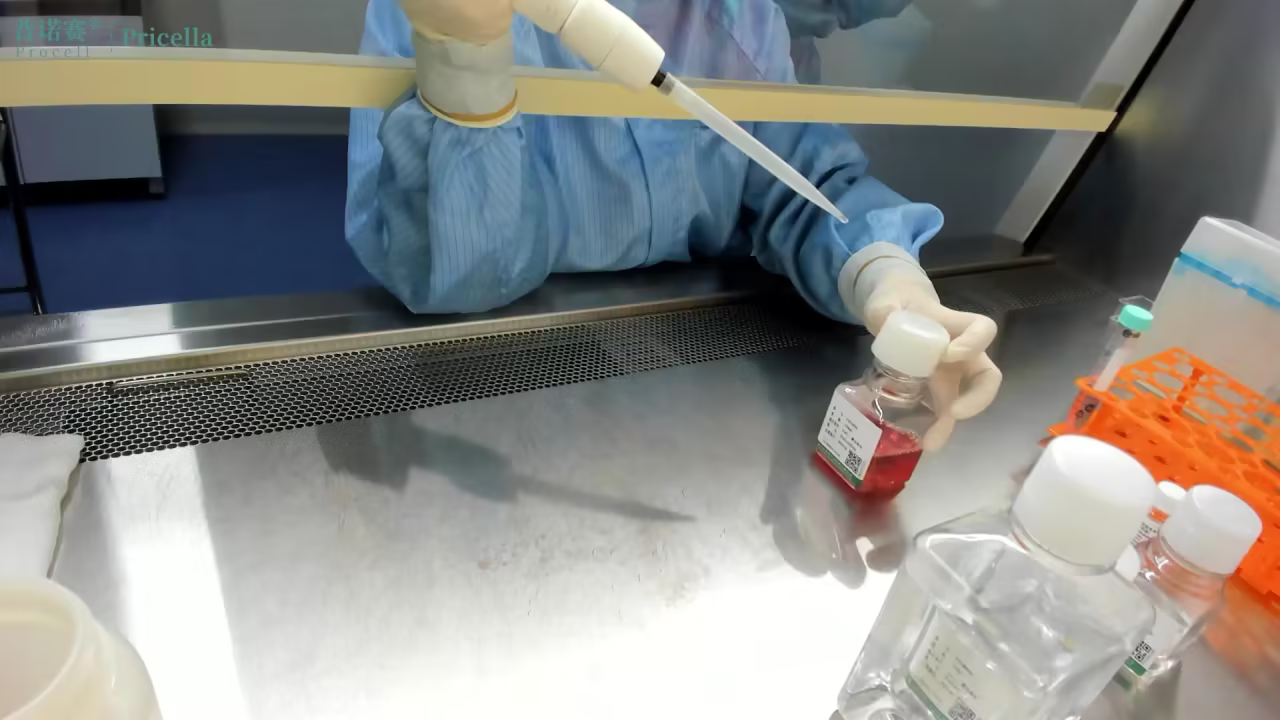 細胞解凍 細胞解凍