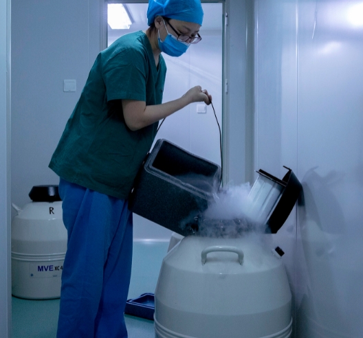 液氮容器的使用 液氮容器的使用