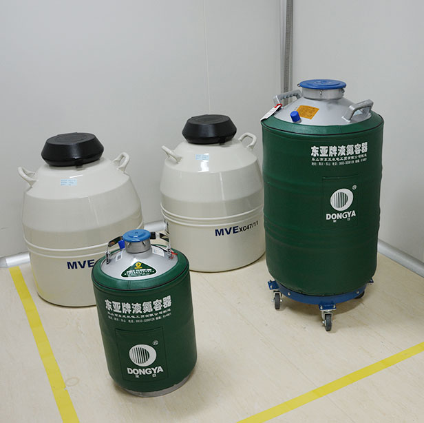 東亞液氮容器50L 東亞液氮容器50L