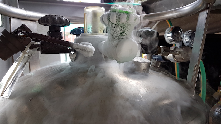 液氮罐液位計 液氮罐液位計