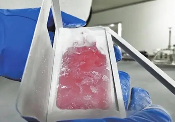 凍存血袋 凍存血袋