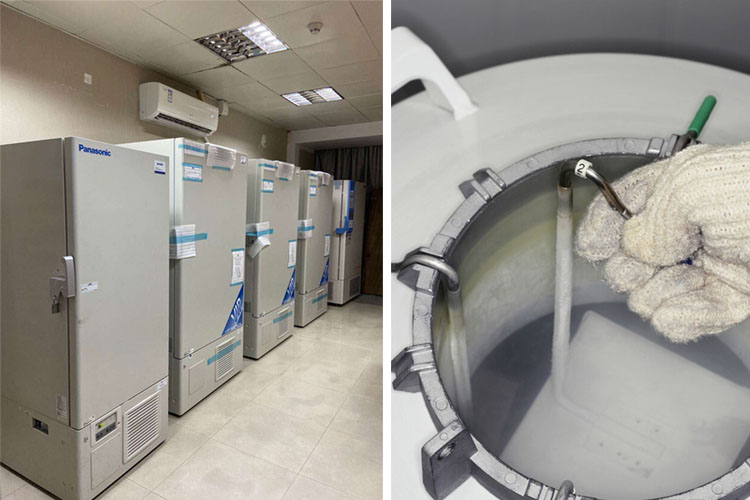 低溫冰箱與液氮罐 低溫冰箱與液氮罐